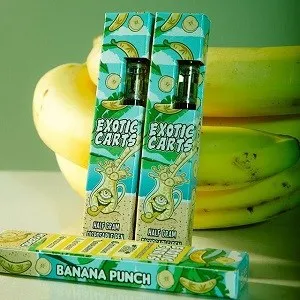 Banana Punch